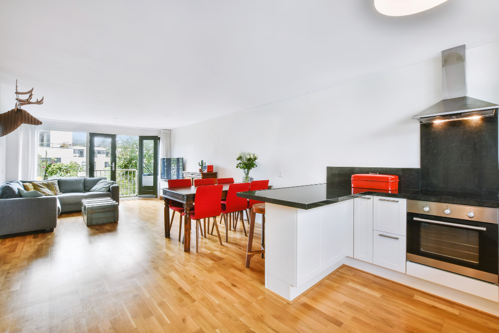 un appartement avec cuisine ouverte sur salon